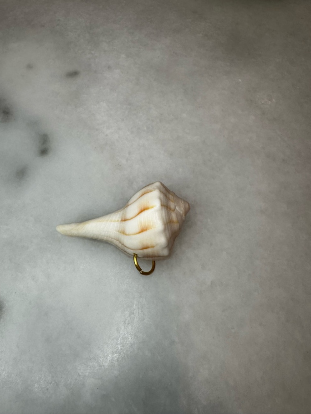 Handcrafted Shell Pendant with Gold Loop - White,Beige, & Brown